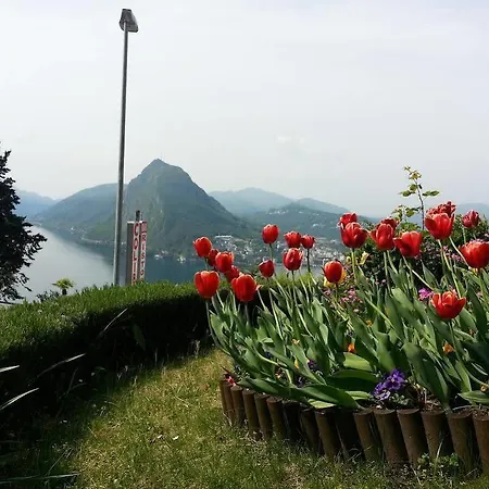 Colibri 3* Lugano